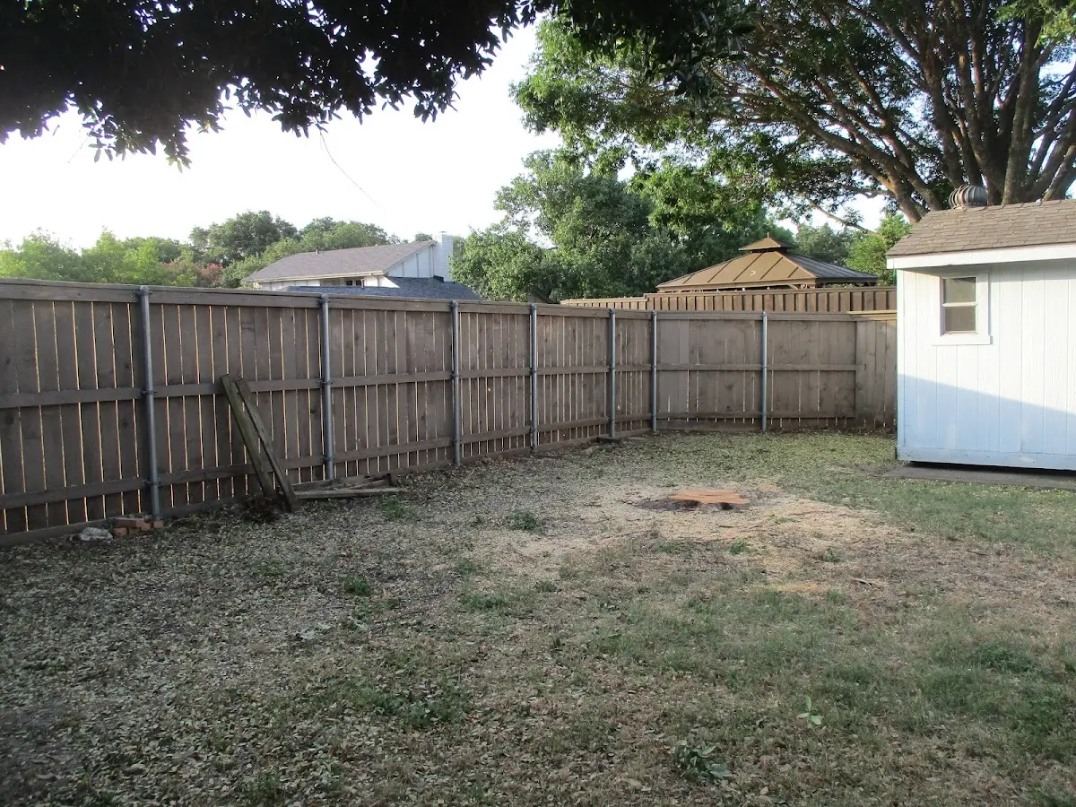 Cleared yard after professional tree removal in Red Banks